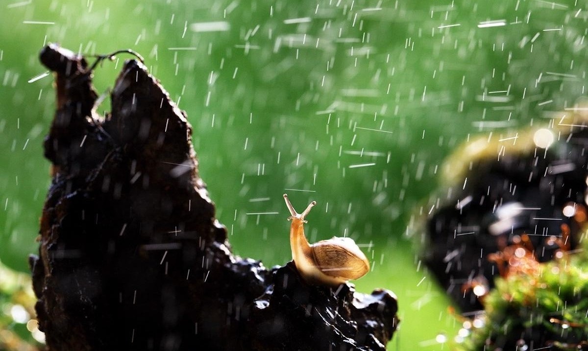 企业微电影怎么拍摄雨中戏？